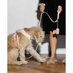 Wild One Poop Bag Holder Blush