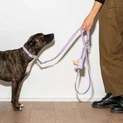 Wild One Poop Bag Holder Lilac