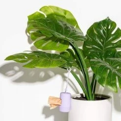 Wild One Poop Bag Holder Lilac