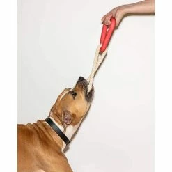 Wild One Triangle Tug Toy Red Live