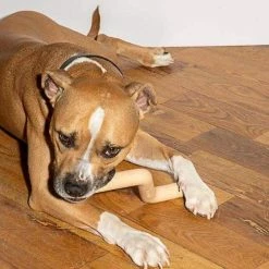 Wild One Bolt Bite Tan