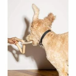 Best Sale π Wild One Triangle Tug Toy Tan Live π 9 Wild One Triangle Tug Toy Tan Live