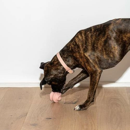 Cheap ๐ฏ Wild One Twist Toss Blush Live ๐ 6 Wild One Twist Toss Blush Live