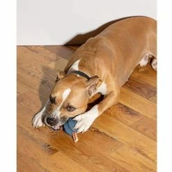 Wild One Live Twist Toss Navy