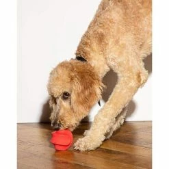 Wild One Live Twist Toss Red