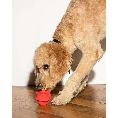 Cheap 👏 Wild One Live Twist Toss Red ❤️ 4 Wild One Live Twist Toss Red