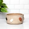 Flash Sale π Utility Objects Rock Pet Bowl β¨ 2 Utility Objects Rock Pet Bowl