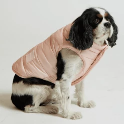 Max-bone Outerwear Arabella Puffer Vest Peach
