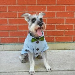 Reformed School African Print Dutch Wax Bow Tie Style