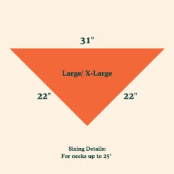 Goodboy Face Mask And Dog Bandana Set Orange Style