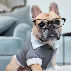 Dog Threads Cabin Cardi Wear