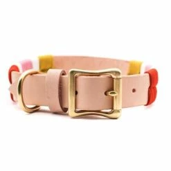 Gianni Cooling The Origin Daisy Collar