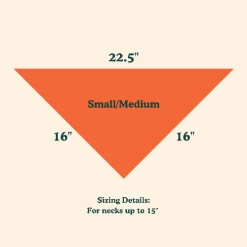 Goodboy Face Mask And Dog Bandana Set Orange Style