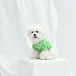 Dentists Appointment Gingham Puff Sleeve Tee Green Wear