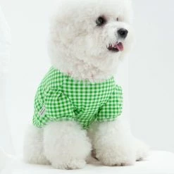 Dentists Appointment Gingham Puff Sleeve Tee Green Wear