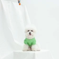 Dentists Appointment Gingham Puff Sleeve Tee Green Wear