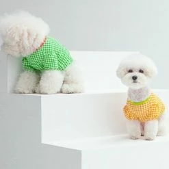 Dentists Appointment Wear Gingham Puff Sleeve Tee Orange