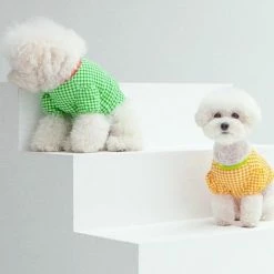 Dentists Appointment Gingham Puff Sleeve Tee Green Wear