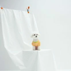 Dentists Appointment Wear Gingham Puff Sleeve Tee Orange