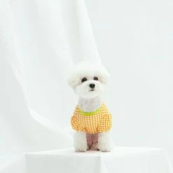 Dentists Appointment Wear Gingham Puff Sleeve Tee Orange