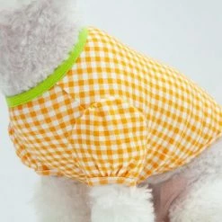 Dentists Appointment Wear Gingham Puff Sleeve Tee Orange