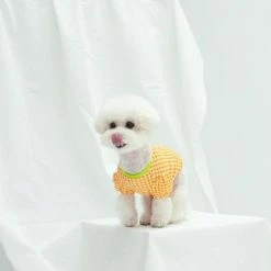 Dentists Appointment Wear Gingham Puff Sleeve Tee Orange