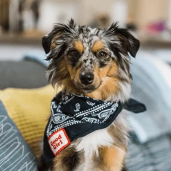 Scout's Honor Charms And Trinkets Good Girl Merit Badge