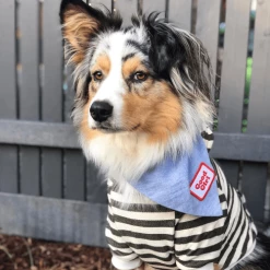 Scout's Honor Charms And Trinkets Good Girl Merit Badge