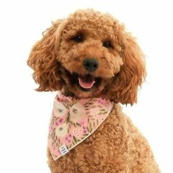 The Foggy Dog Harper Floral Dog Bandana Bandanas And Scarves