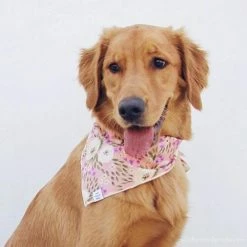 Brand new 👍 The Foggy 🐶 Dog Harper Floral 🐶 Dog Bandana Bandanas And Scarves ❤️ 7 The Foggy Dog Harper Floral Dog Bandana Bandanas And Scarves