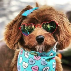 The Paw Wag Company Heart Glasses Red