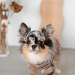 Mon Cheri Striped High Neck Top Rust