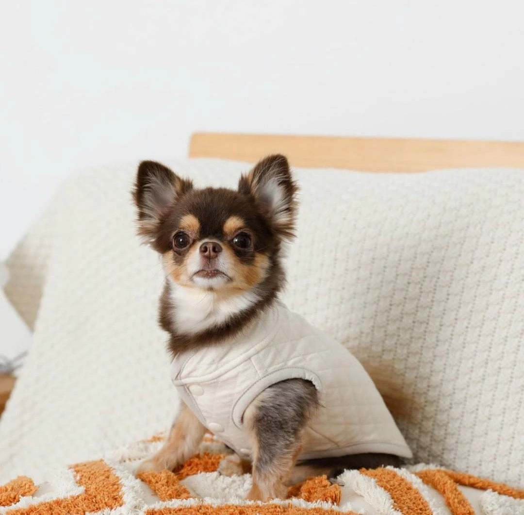 Promo ❤️ Mon Cheri Outerwear Color Scheme Quilted Vest Ivory ✨ 5 Mon Cheri Outerwear Color Scheme Quilted Vest Ivory