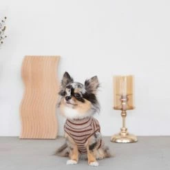 Mon Cheri Striped High Neck Top Rust