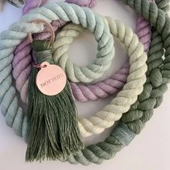 Notyers Coastal Leash Walk