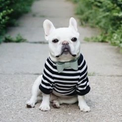 Pipolli Bow Leather Collar Mint