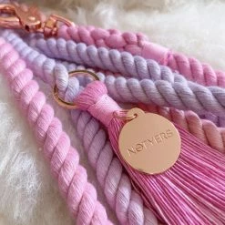 Notyers Sunset Leash Walk