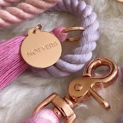 Notyers Sunset Leash Walk