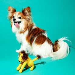 Ware Of The Dog Live Hand Crochet Lion