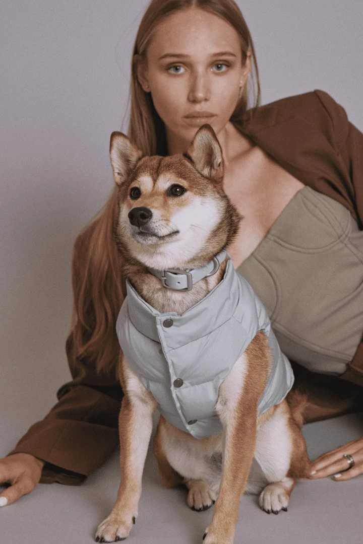 Wholesale π₯° Max-bone New Sub Zero Waterproof Jacket Mint π 6 Max-bone New Sub Zero Waterproof Jacket Mint