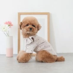 Mon Cheri Berry Frill Top Tan Wear