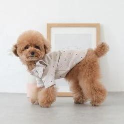 Mon Cheri Berry Frill Top Tan Wear