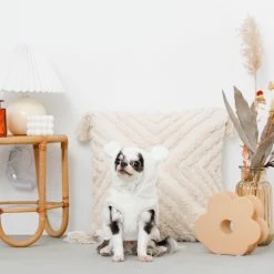 Wholesale 🥰 Mon Cheri Kuma Bear Fleece Hoodie Ivory Wear 👍 11 Mon Cheri Kuma Bear Fleece Hoodie Ivory Wear