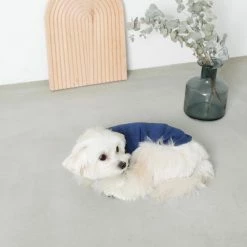 Mon Cheri Wear Simple Pullover Navy