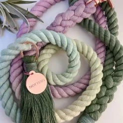 Notyers Coastal Leash Walk