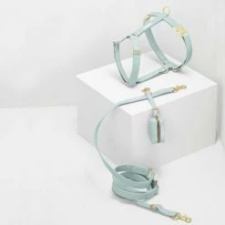 See Scout Sleep The Scot Leash Mint