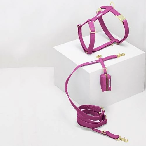 Wholesale ๐ See Scout Sleep The Scot Harness Magenta Walk โจ 4 See Scout Sleep The Scot Harness Magenta Walk