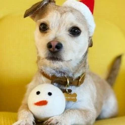 Coupon โ๏ธ MODERNBEAST Live Snowman Beast Toy ๐ฅ 7 MODERNBEAST Live Snowman Beast Toy