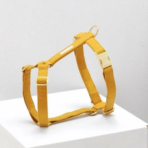 Budget π See Scout Sleep The Scot Harness Mustard Walk β 3 See Scout Sleep The Scot Harness Mustard Walk